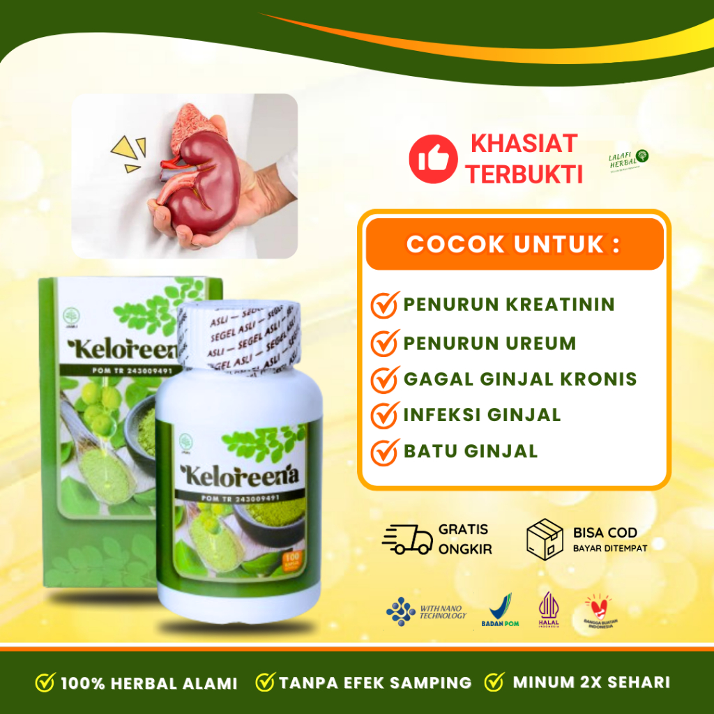 Obat Penurun Kreatinin dan Ureum Ginjal Tinggi, Gagal Ginjal Kronis KELOREENA