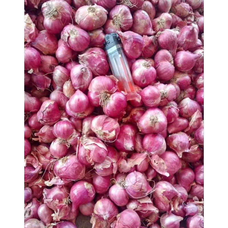 

Bawang merah super 1/2 kg lokal