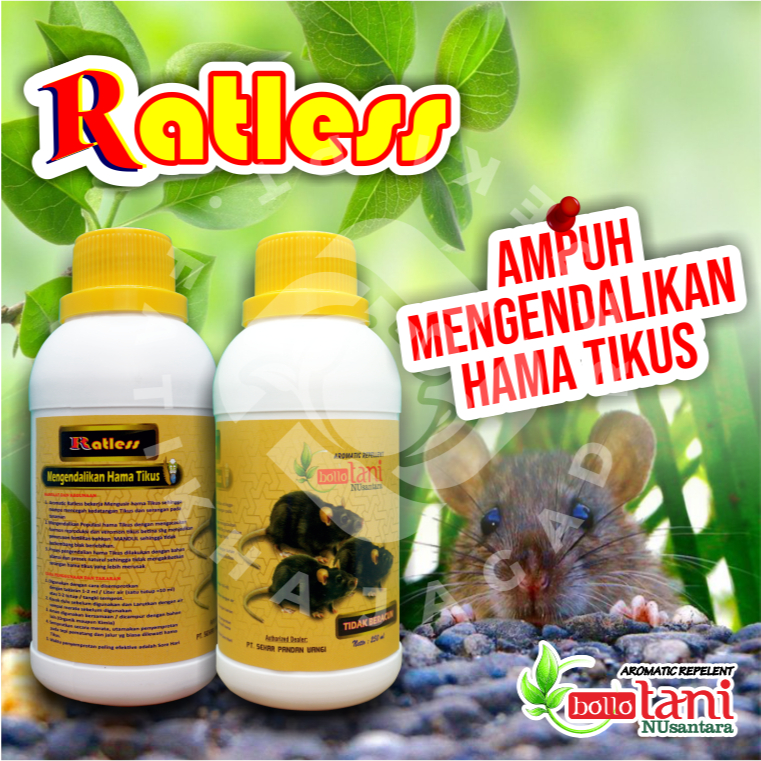 RATTLES | OBAT TIKUS MATI KERING | PEMBASMI TIKUS DAN PENGUSIR HAMA TIKUS | BOLLO TANI NUSANTARA | B