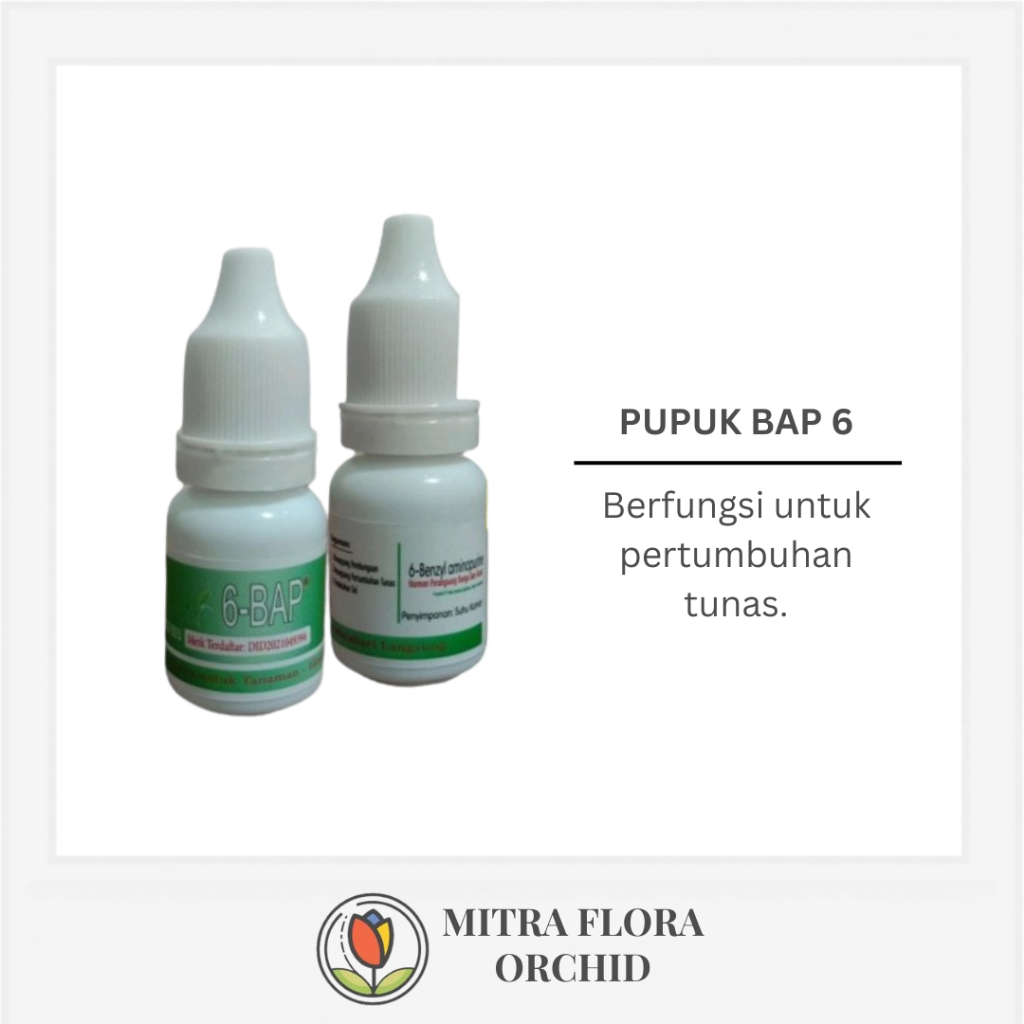 Pupuk BAP6 10ml
