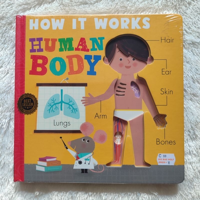 BIG BAD WOLF BOOKS • HOW IT WORKS : HUMAN BODY - REFERENCE BOARD BOOK BBW IMPORT