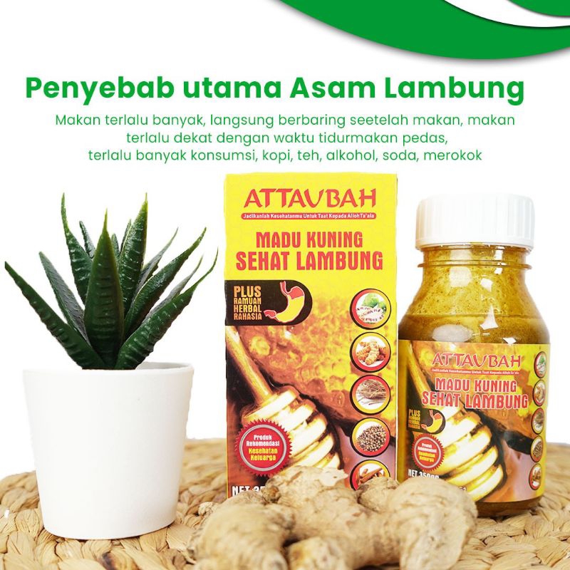 

(PAKET 3 BOTOL) Madu Kuning Sehat Lambung Attaunah 350gr
