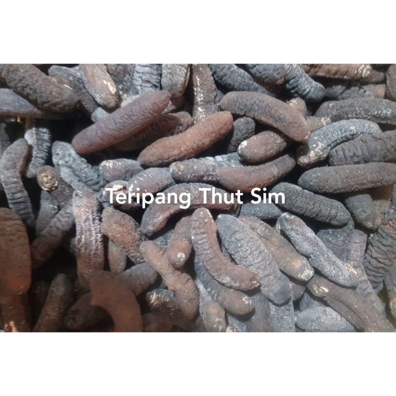 

Haisim Thut Sim / Haisom / Teripang Kering / Timun Laut / Sea Cucumber / Hoisom / Tut Sim
