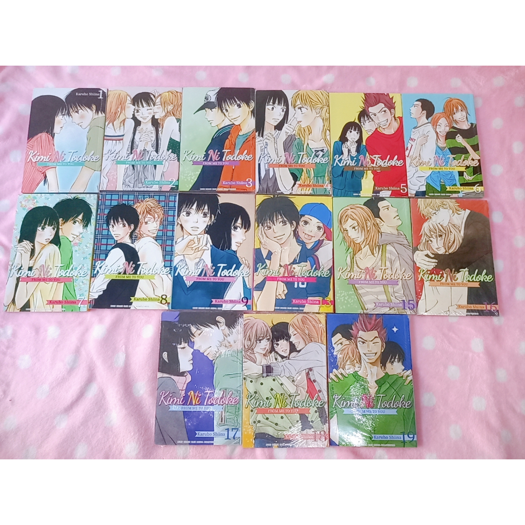 kimi no todoke (from me to you)