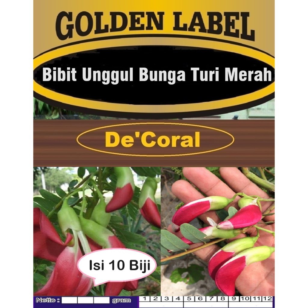 Bibit Unggul Bunga Turi Merah Biji Benih Kembang Turi Merah | Bunga Turi