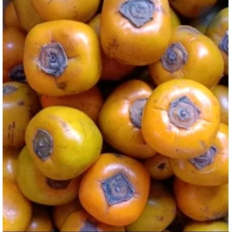 

kesemek lokal rasa impor/persimon manis 1 kg