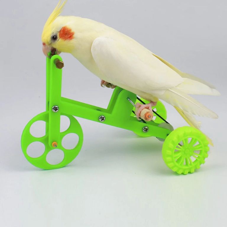 KODE A1Q Mainan Burung Parrot Sepeda Ayun