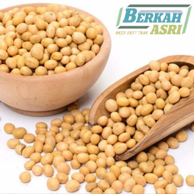 

kedelai goreng, kacang goreng, cemilan kacang gurih