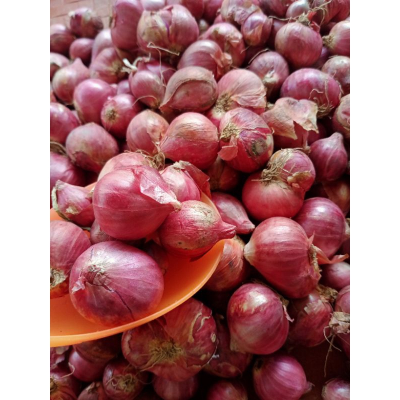 

Bawang Merah dan Bawang Putih Super