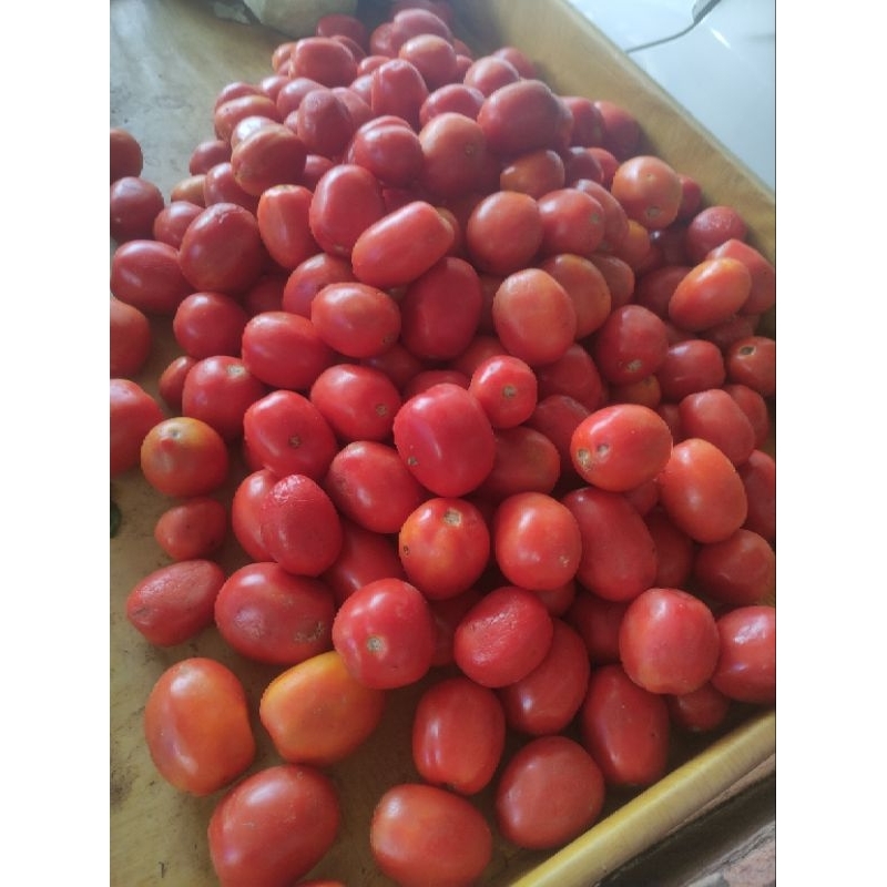 

tomat harga 1/4