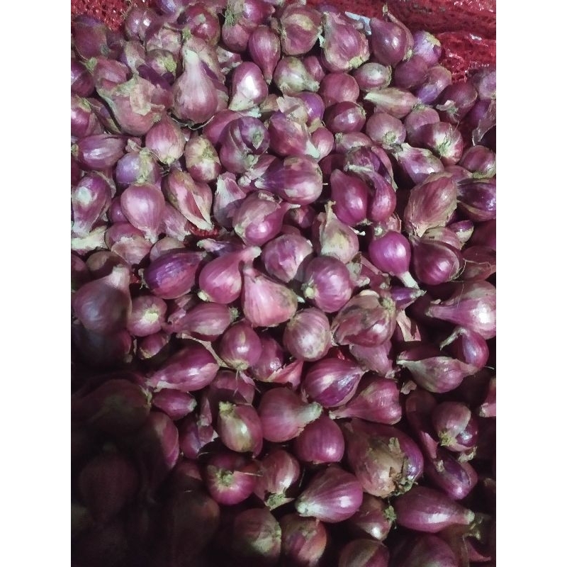 

bawang merah lokal 1kg