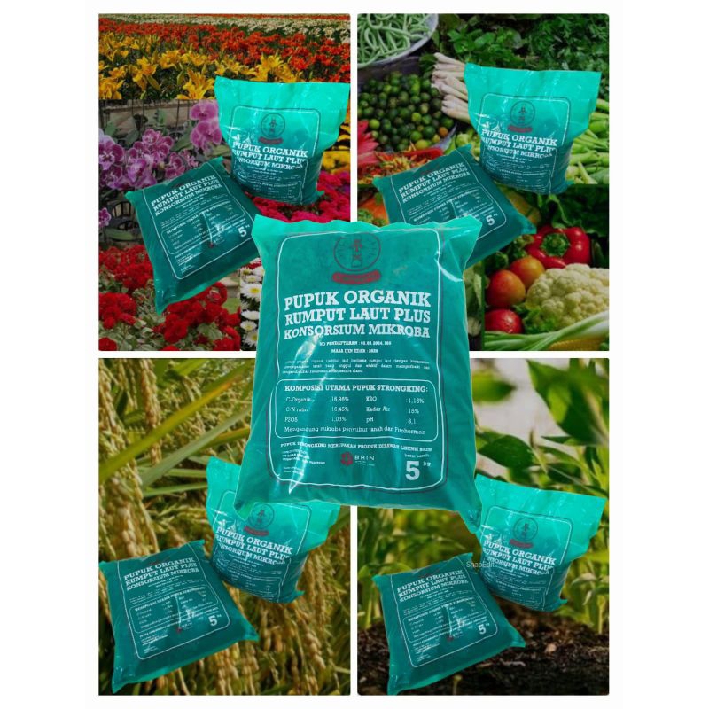 PUPUK ORGANIK "STRONGKING"