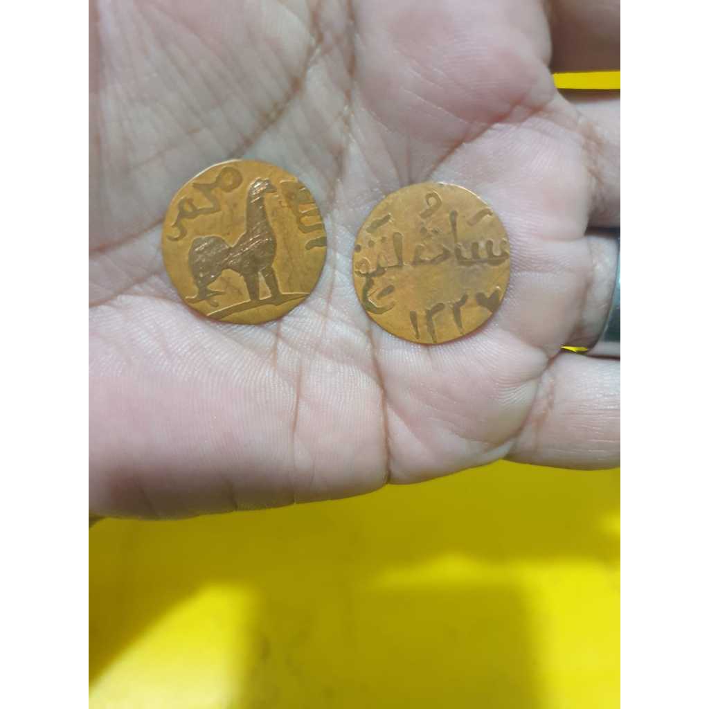 𝗠𝗮𝗸𝗮𝘀𝘀𝗮𝗿 𝗱𝗮𝗴𝗮𝗻𝗴 - Koin Ayam Jago / Koin Hoki (Paket Hemat ambil 2 pcs)