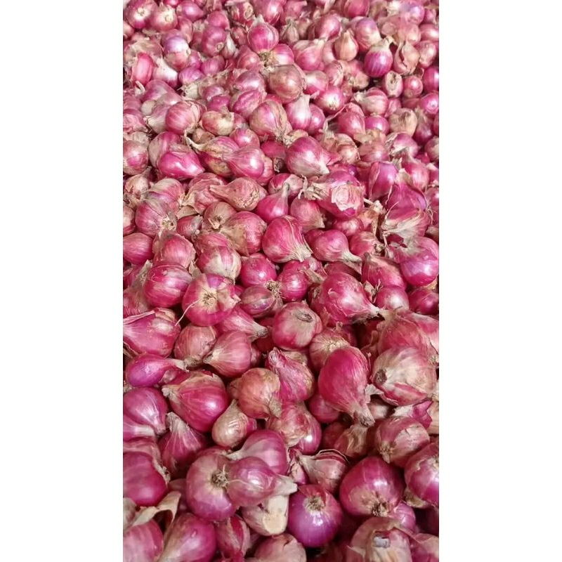 

Bawang merah 1kg lokal