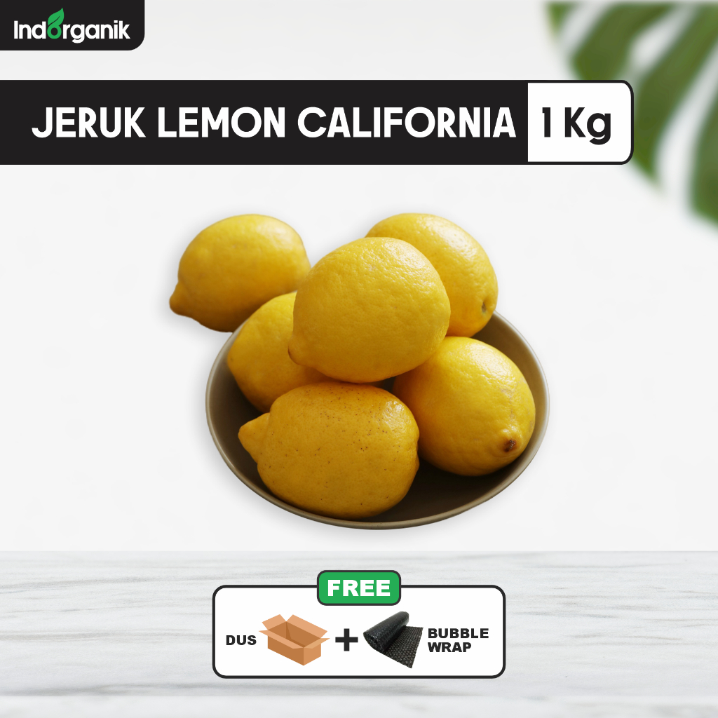 

INDORGANIK JERUK LEMON CALIFORNIA 1 KG - FRESH LEMON SPEC SUPER UNTUK DIET DAN DETOX