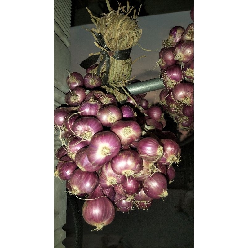 

bawang merah ikat murah meriah tahan lama
