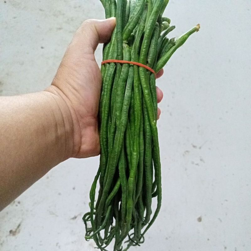 

SAYUR KACANG PANCANG SEGAR