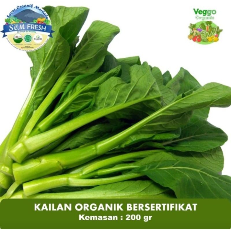 

Kailan Organik Bersertifikat