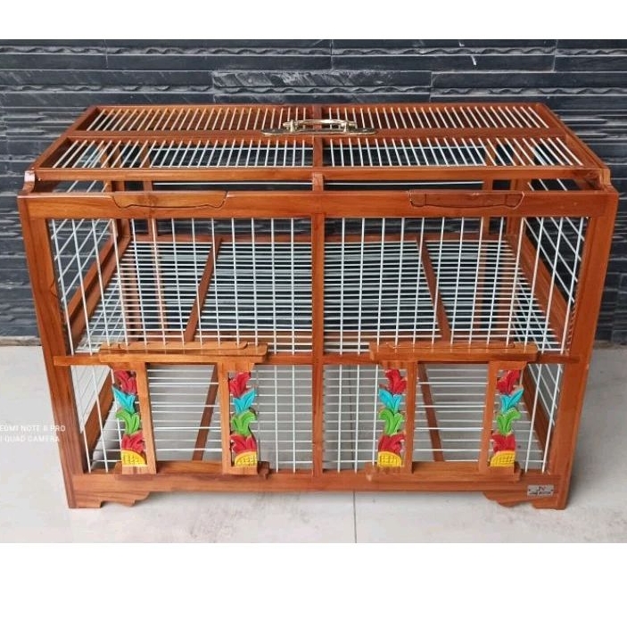 DONGDANG MERPATI 2 PASANG JUMBO_ KANDANG JATI BURUNG DORO