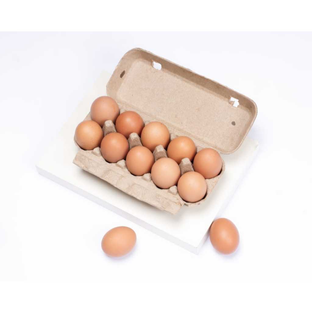 Paper egg box / tray egg / kotak telur bahan kertas 10 Butir