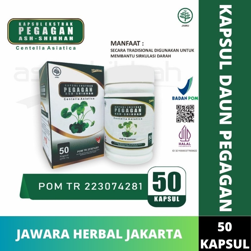 Kapsul Ekstrak PEGAGAN Ash-Shihhah | Kapsul Pegagan Meredakan Nyeri Sendi Isi 50 Kapsul Original BPO