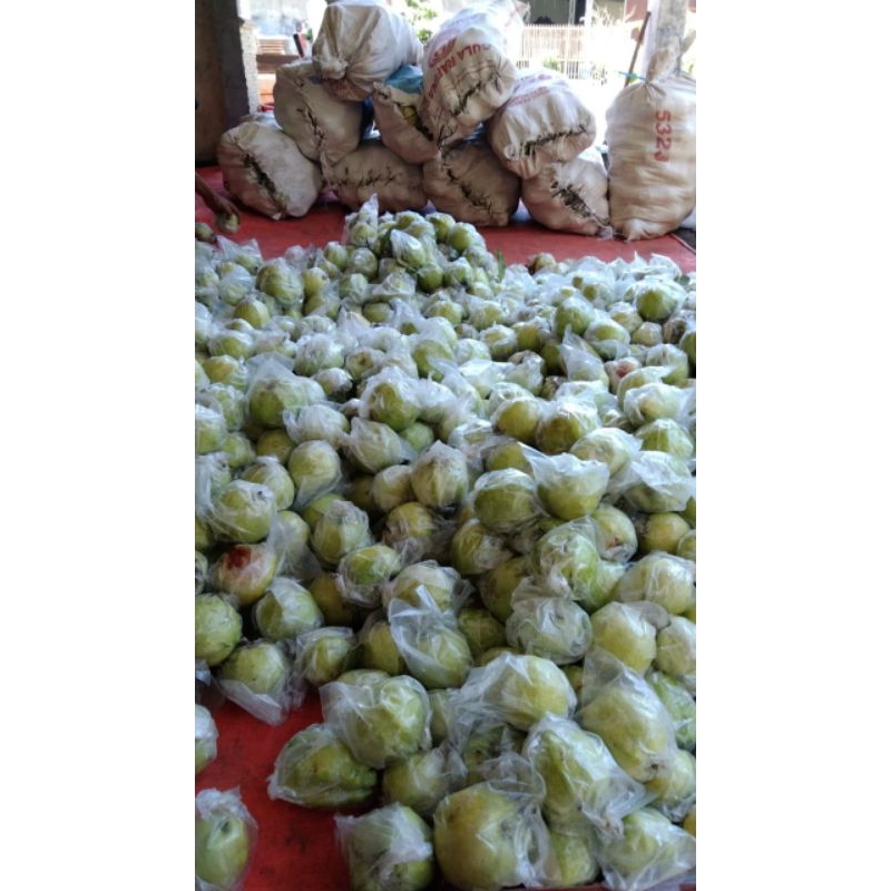 

jambu krisal dan buah" DLL