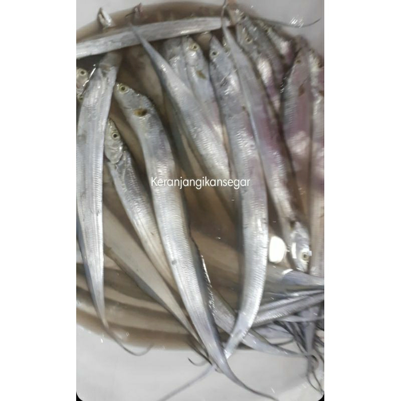 

Ikan layur segar harian berkualitas 1kg (bukan frozen) free dibersihkan
