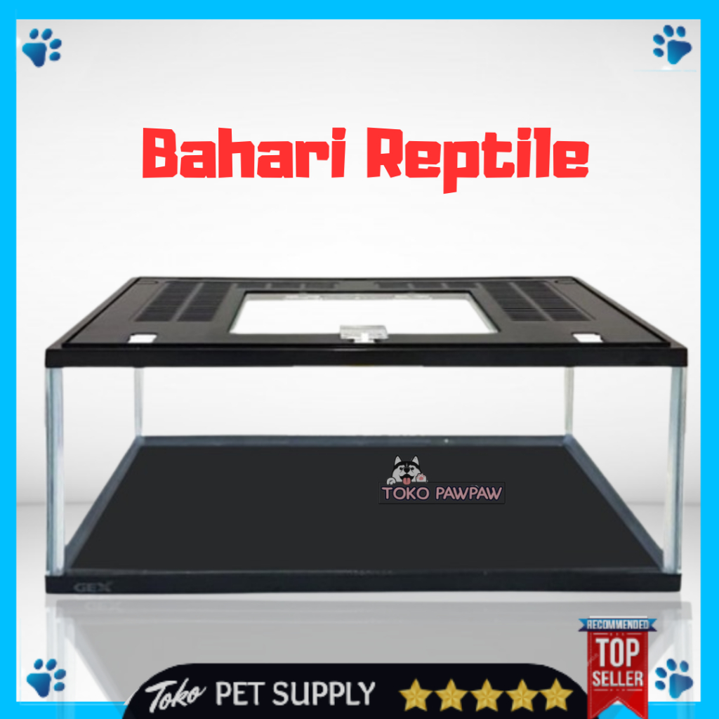 BAHARI AQUARIUM REPTILE WARNA Akuarium Terarium Aquarium Aquascape Reptil SML