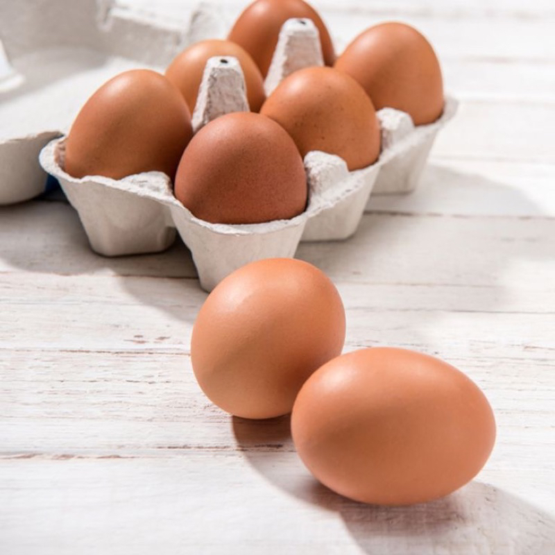 

Telur