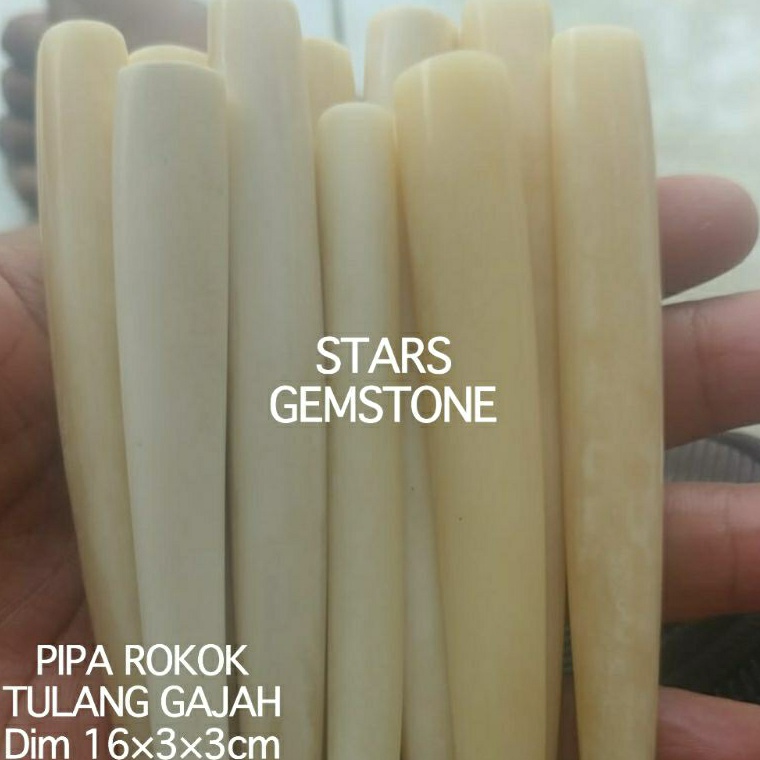 KODE A29Q PIPA TULANG GAJAH NATURAL ALAM 1