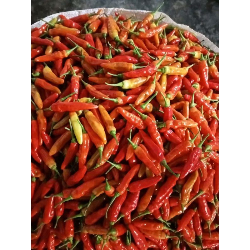 

Cabe Rawit Cabai Fresh Dari petani Sayur Cabe