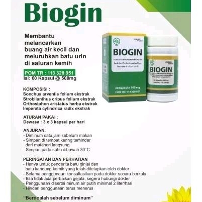 Biogin, obat herbal utk ginjal