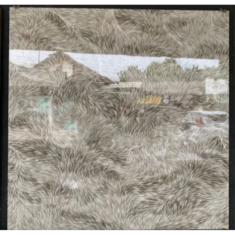 Granit Lantai Ukuran 60x60 (Glossy) Motif Bulu Sprti Karpet/ Granit Ukuran 60x60