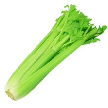 

Celery stick import / batang seledri