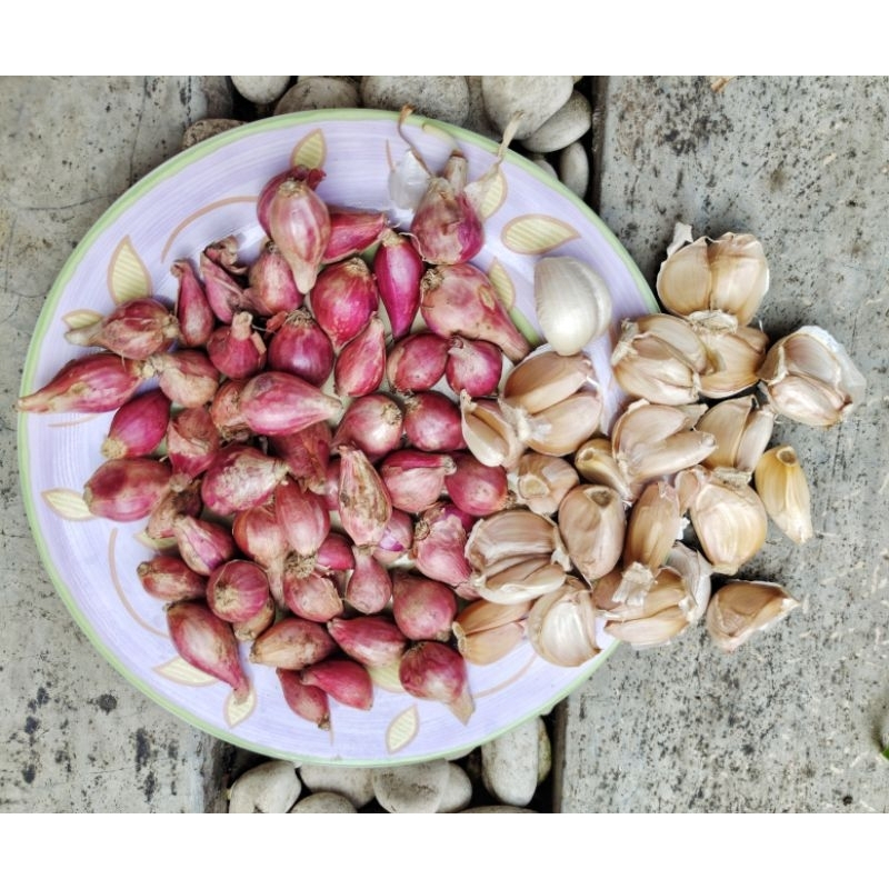 

Campur Bawang Merah Brebes Bawang Putih Campur 250gr Murah Kualitas Hot Sale