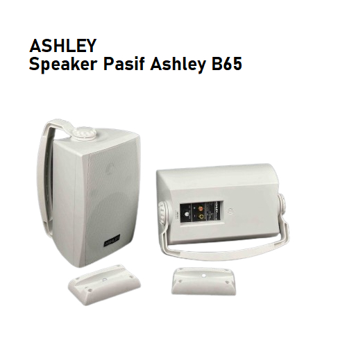 Speaker Pasif Ashley B65 Original