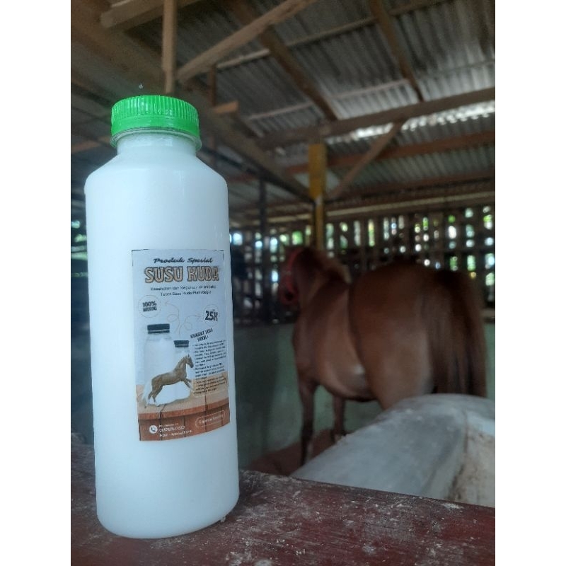 

susu kuda asli