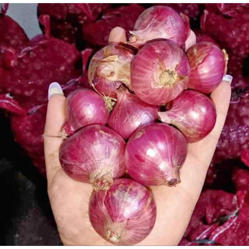 

BAWANG BALI