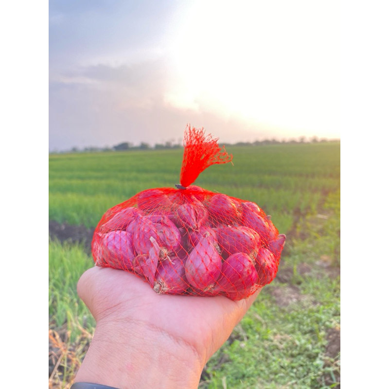 

Bawang merah Brebes 500grm