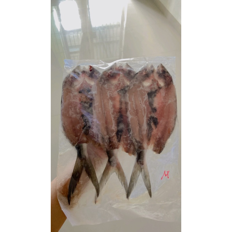 

Bandeng Tanpa Tulang Size M (isi 3 ekor)