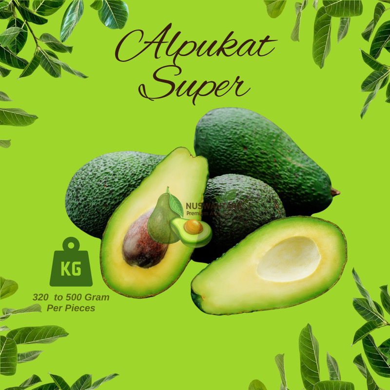 

Alpukat Super 2-3pcs per kg