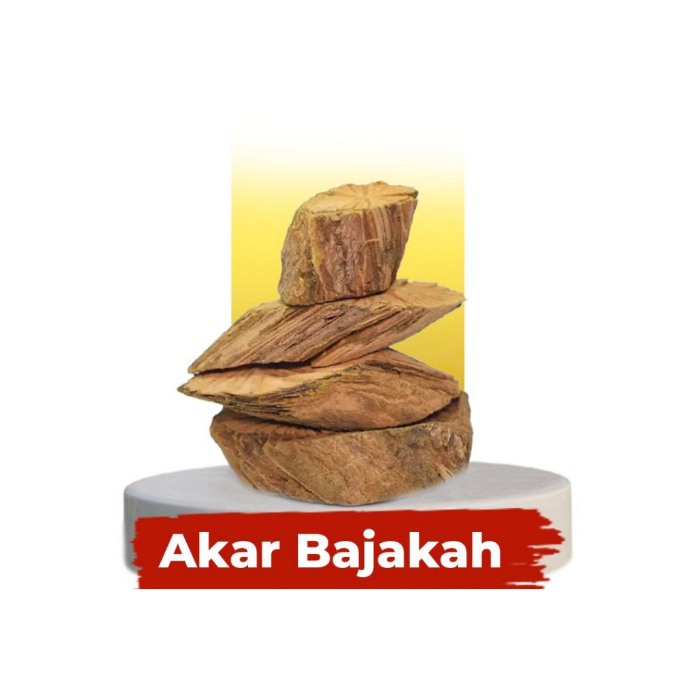 

[Ready] Akar Kayu Bajakah Kalalawit Merah Super 1Kg Seduhan Teh Herbal