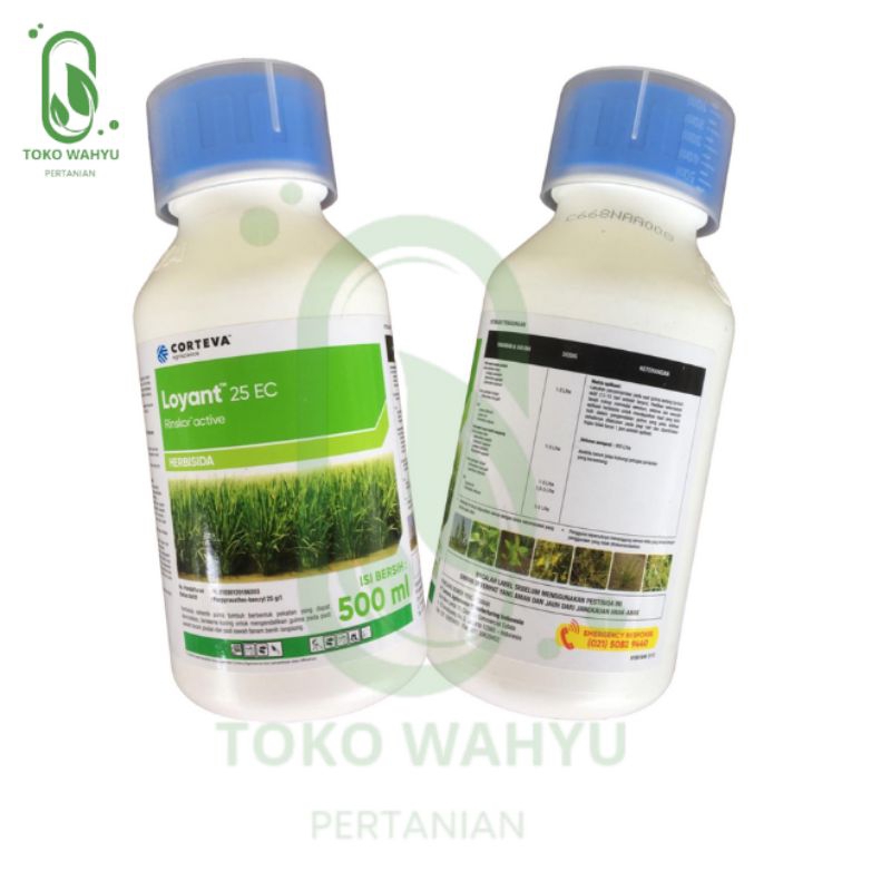 LOYANT 25 EC // PENGENDALI GULMA