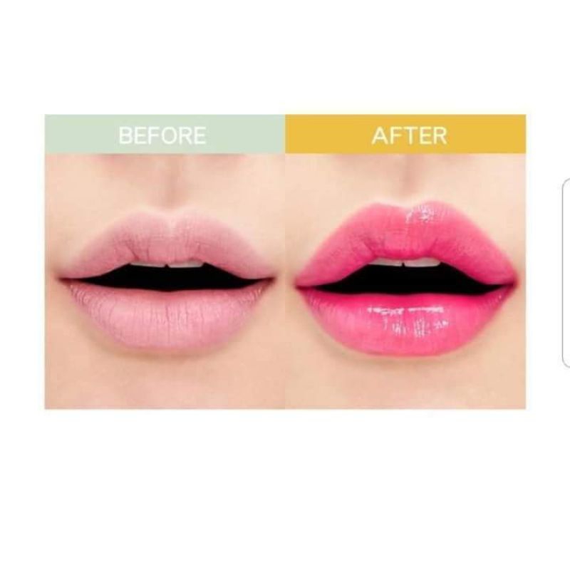 LIPBALM ALOE VERA KOREA 99% , LIP Balm