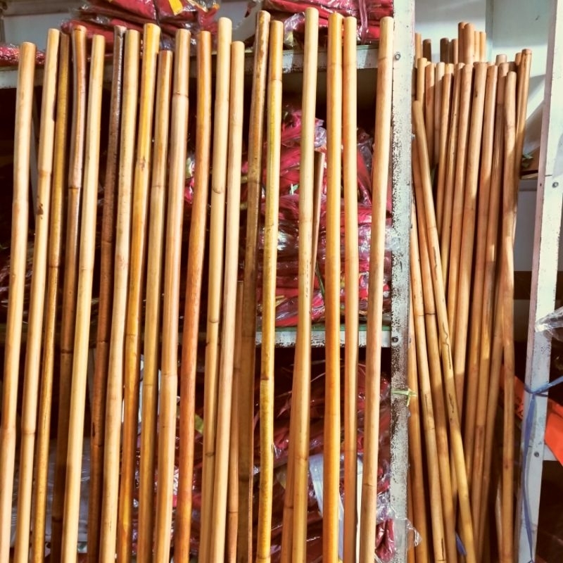 Toya Rotan Silat / Toya rotan Silat, wushu