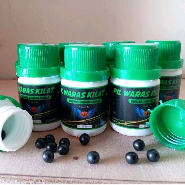 PIL WARAS KILAT JAMU MERPATI CIDERA