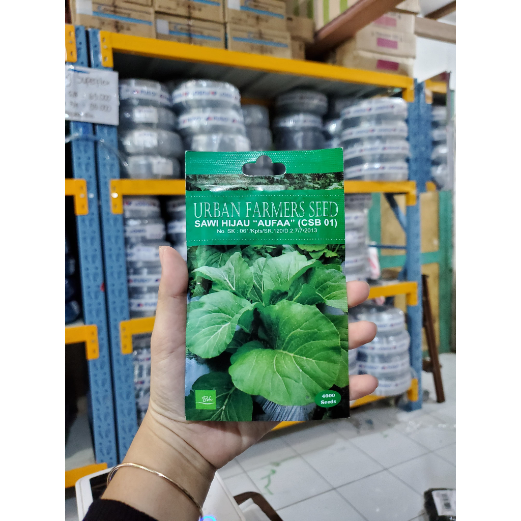 Benih Sawi Hijau/Sawi Sayur/Sawi Bakso