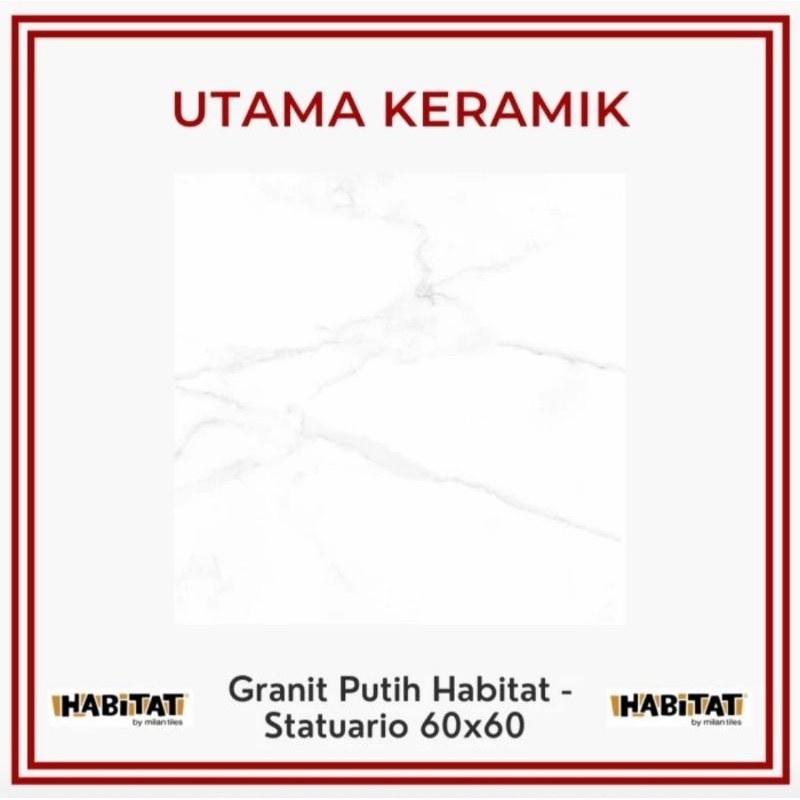 Granit Putih Habitat - Granit Statuario 60x60 - Granit Lantai