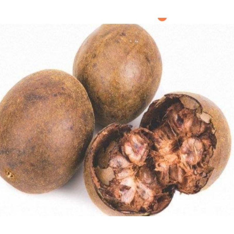 

Lohankuo Buah 1Biji Lohanguo