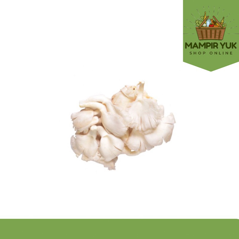 

Jamur tiram 250gr-1kg | mampiryuk